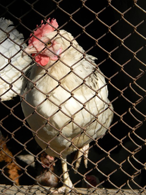 球员通过在 球员通过在