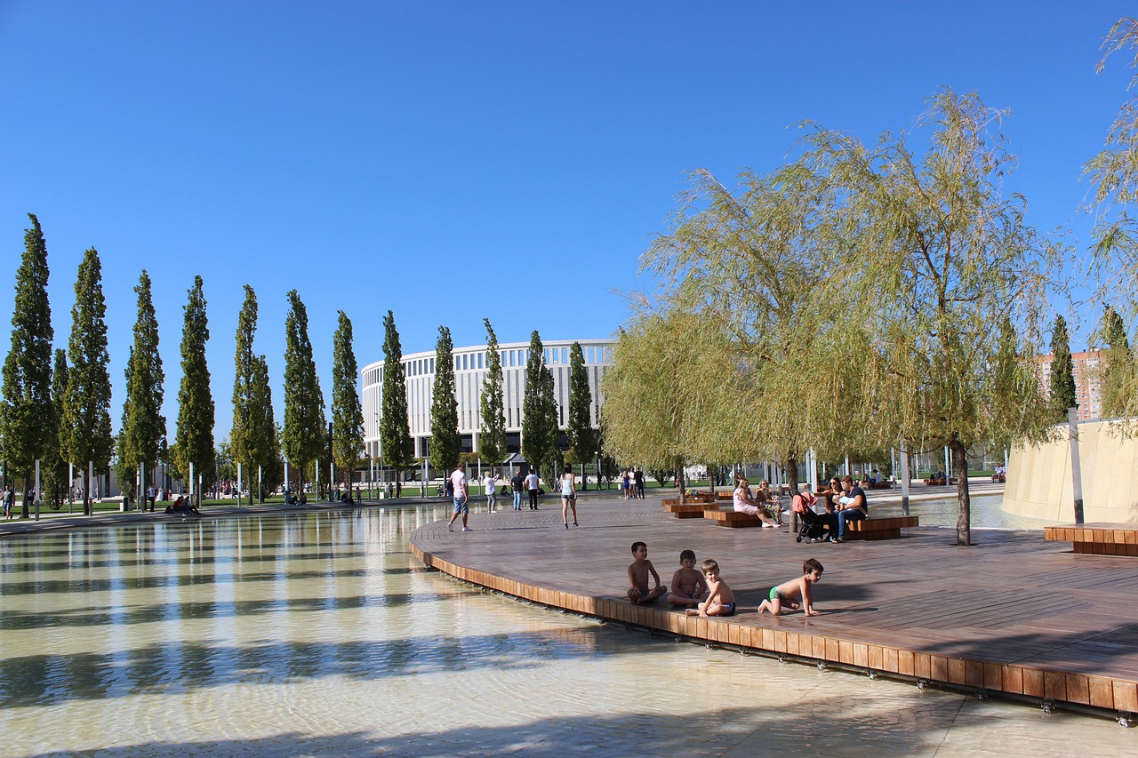 的弹跳能力 的弹跳能力