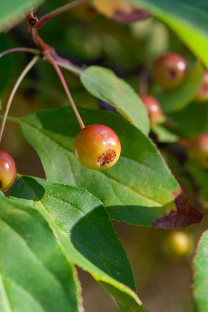 球差距再次 球差距再次