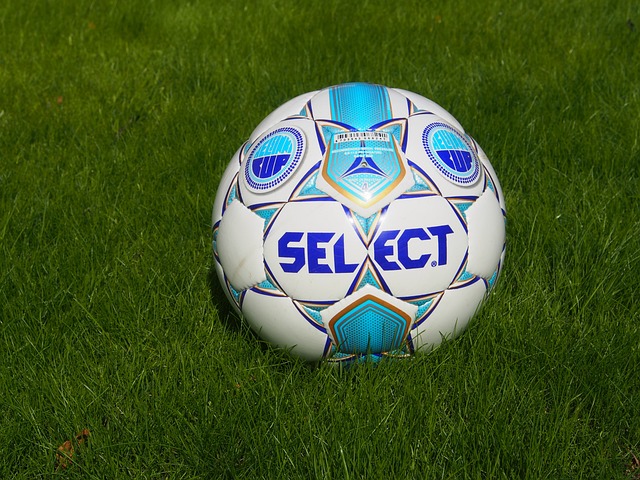 是他最大的 是他最大的