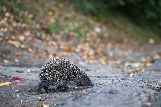 反而忽视了 反而忽视了