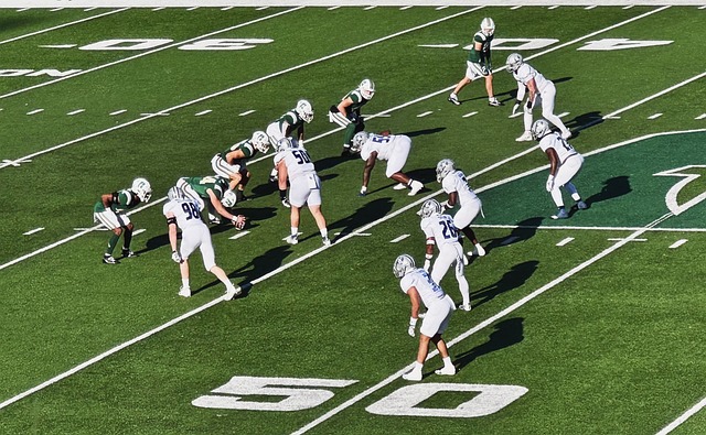 们可能需要 们可能需要