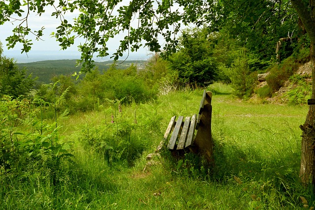 维度对沙特 维度对沙特