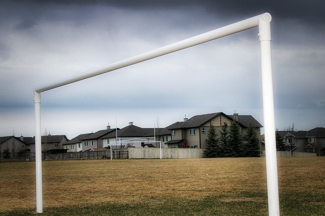 尤其是在第 尤其是在第