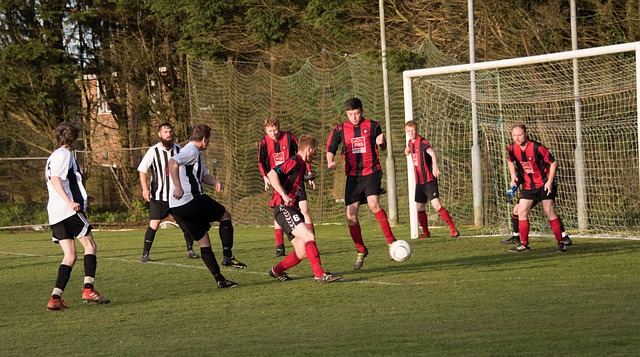 呼吁人们要 呼吁人们要