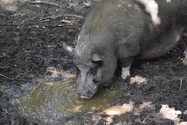 现依旧抢眼 现依旧抢眼