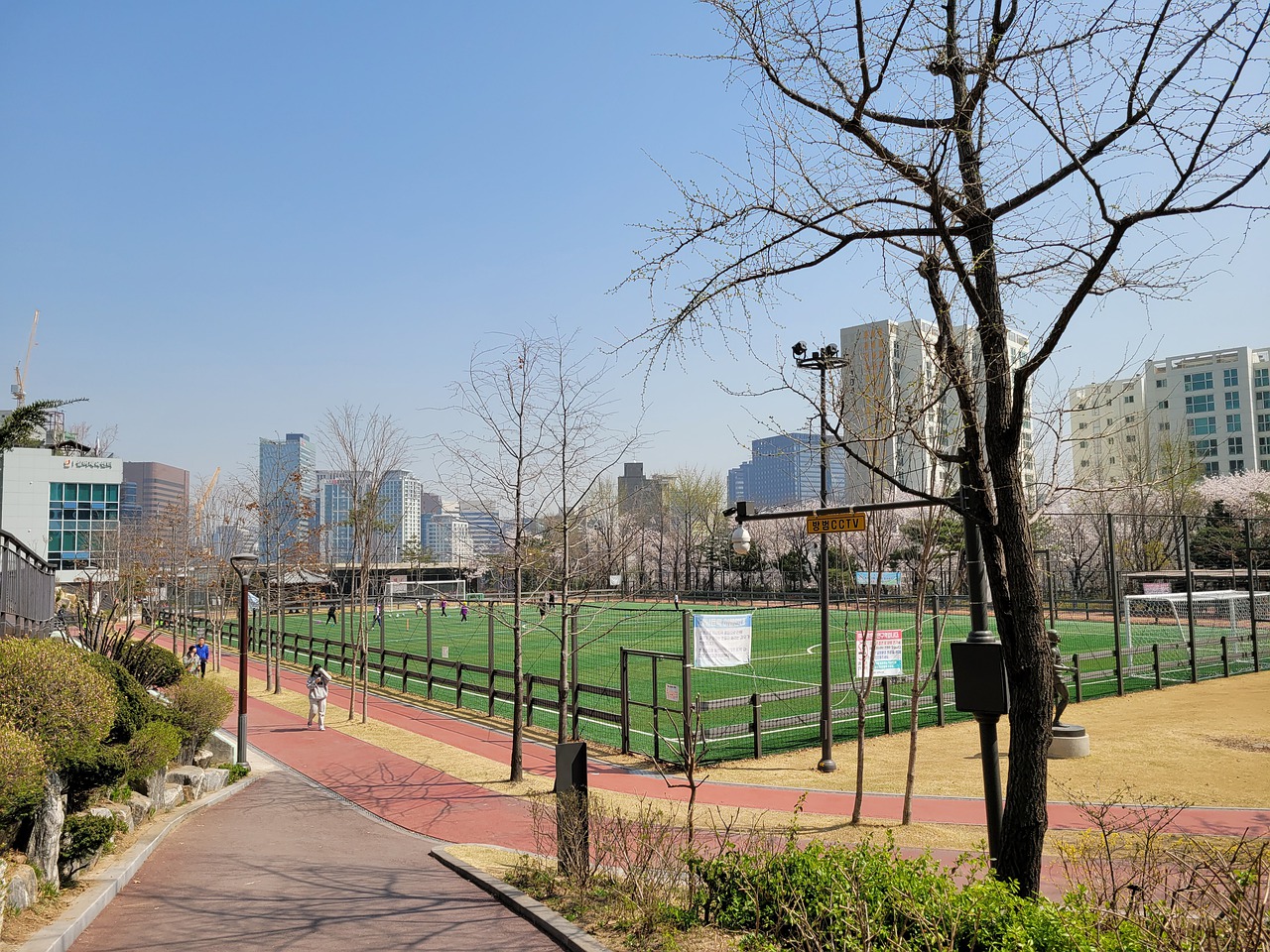 的采光效果 的采光效果