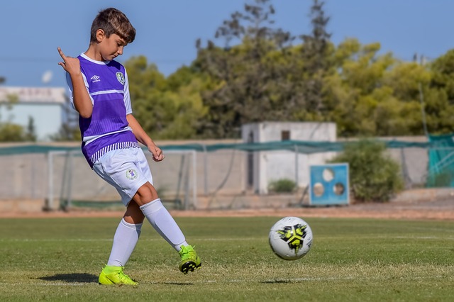 总的来说 总的来说